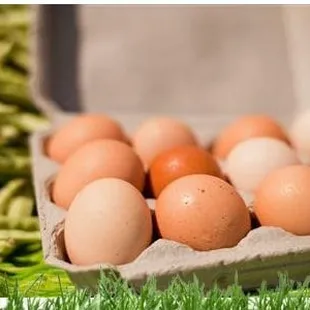 a carton of eggs and beans