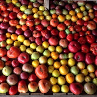 Our produce is seasonal and therefore availability changes regularly. Whatever produce we have in stock is picked ripe and sold fresh.