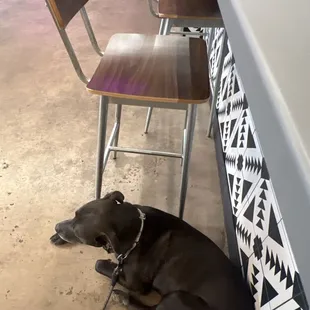 We love a dog friendly brewery
