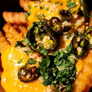 Tijuana Street Fries