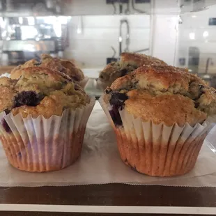 two blueberry muffins in a glass case