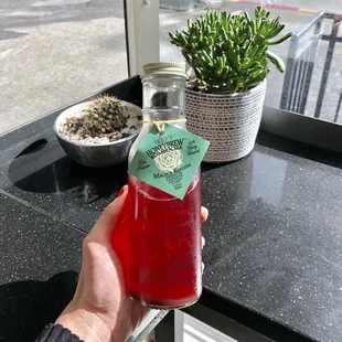 Hibiscus Kombucha