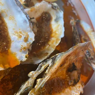 mussels, oysters, shellfish, food, oysters and mussels