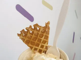 Astro Craft Ice Cream-Lutz