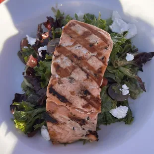 Salmon Salad