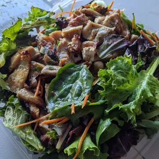 Chicken salad - big portion and delicious!!