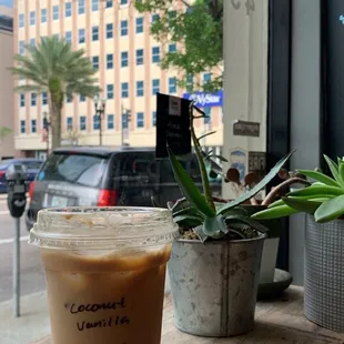 iced coconut vanilla latte