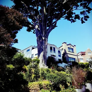 Urban hike experience 6/24/18