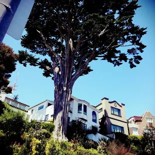 Urban hike experience 6/24/18