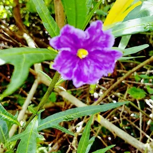 Urban hike experience 6/24/18