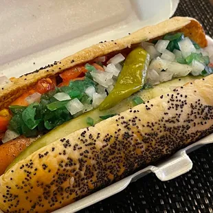 Chicago Dog
