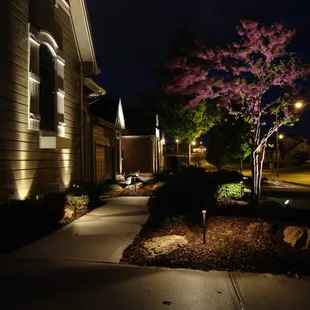 Urban Landscapes