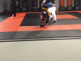 Hybrid Martial Arts