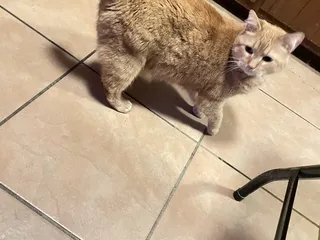 Phenix Banquet Center