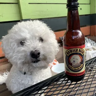 Happy pup to join us at the table.