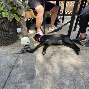 Just messin with ya. Pants wouldn't have fit.