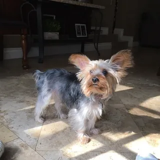 Esther J.