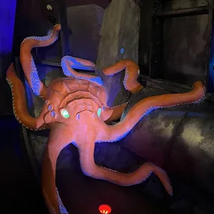 octopus
