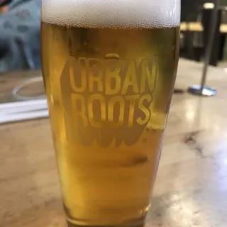 Like Riding A Bike 4-Pack (16 oz. Cans)