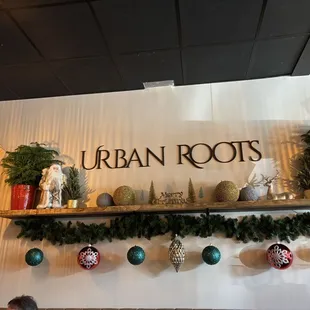 sushi and sashimi, interior