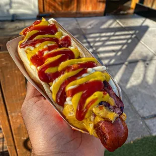 hot dog, food, hot dogs, sandwich