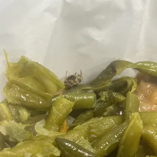 Insect in my green beans .