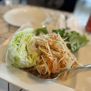 Papaya Salad - stay at level 1 which was more than mild and perfect spice.