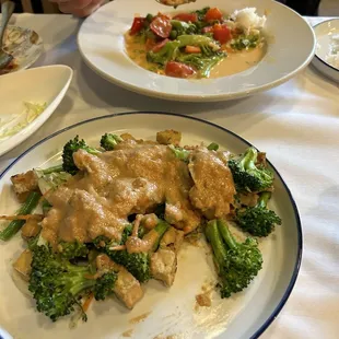 Pad Thai Panang Curry