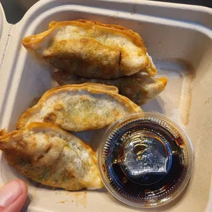 Fried Gyoza