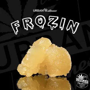 Urban Wellness - Paradise