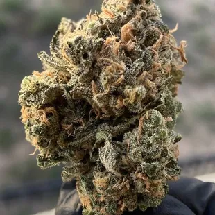 Flower - Blue Dream