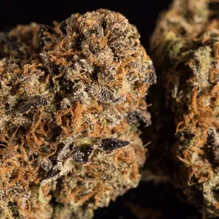 Girl Scout Cookies