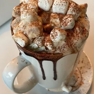 Fancy Hot Chocolate