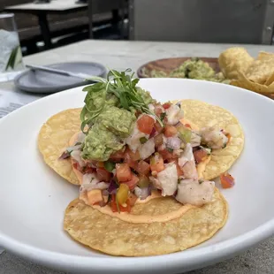 Red Snapper Ceviche