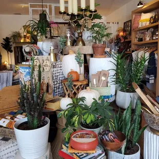 Such a beautiful bright local shop!