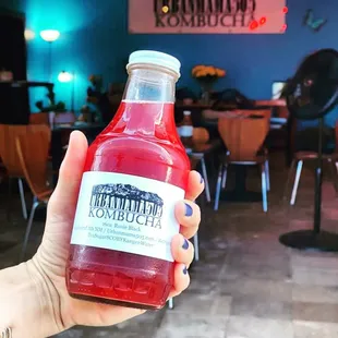 a hand holding a bottle of kombucha