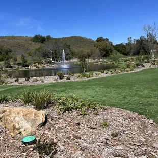 The turf lawn where we enjoyed our pies (multiple).