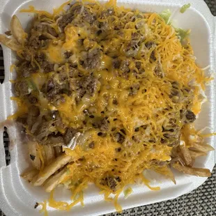 Carne asada fries.
