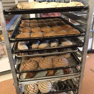 Fresh outta the oven