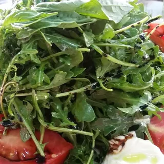 Heirloom Tomato & Burrata Salad