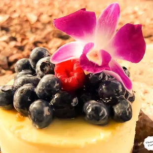 "Love is like a wild flower; it's often found in unlikely places."