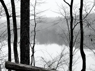 Latta Nature Preserve