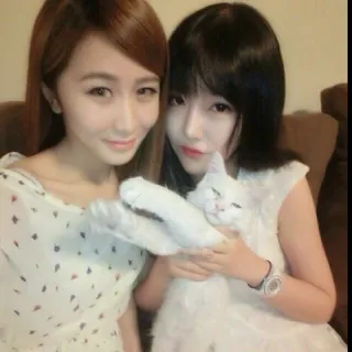 Zhuoyang Z.