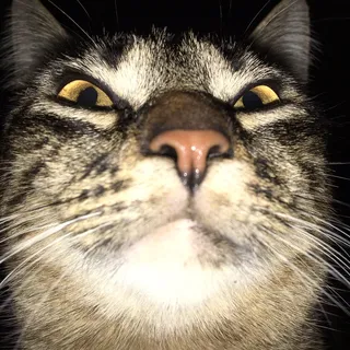 C. W.