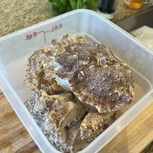 Another pic of the box crabs