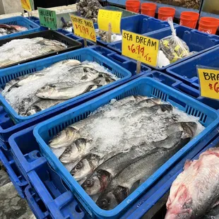 Other assorted fresh fish