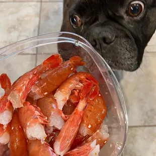 Spot Prawns (I pulled the heads off to store them)