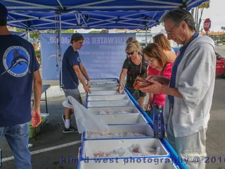 Bluewater Seafood Co.