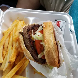 a hamburger and french fries