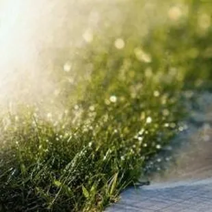 USA Hoich Irrigation